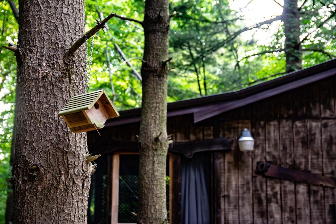 Avenwood Cabins Logan Esterno foto